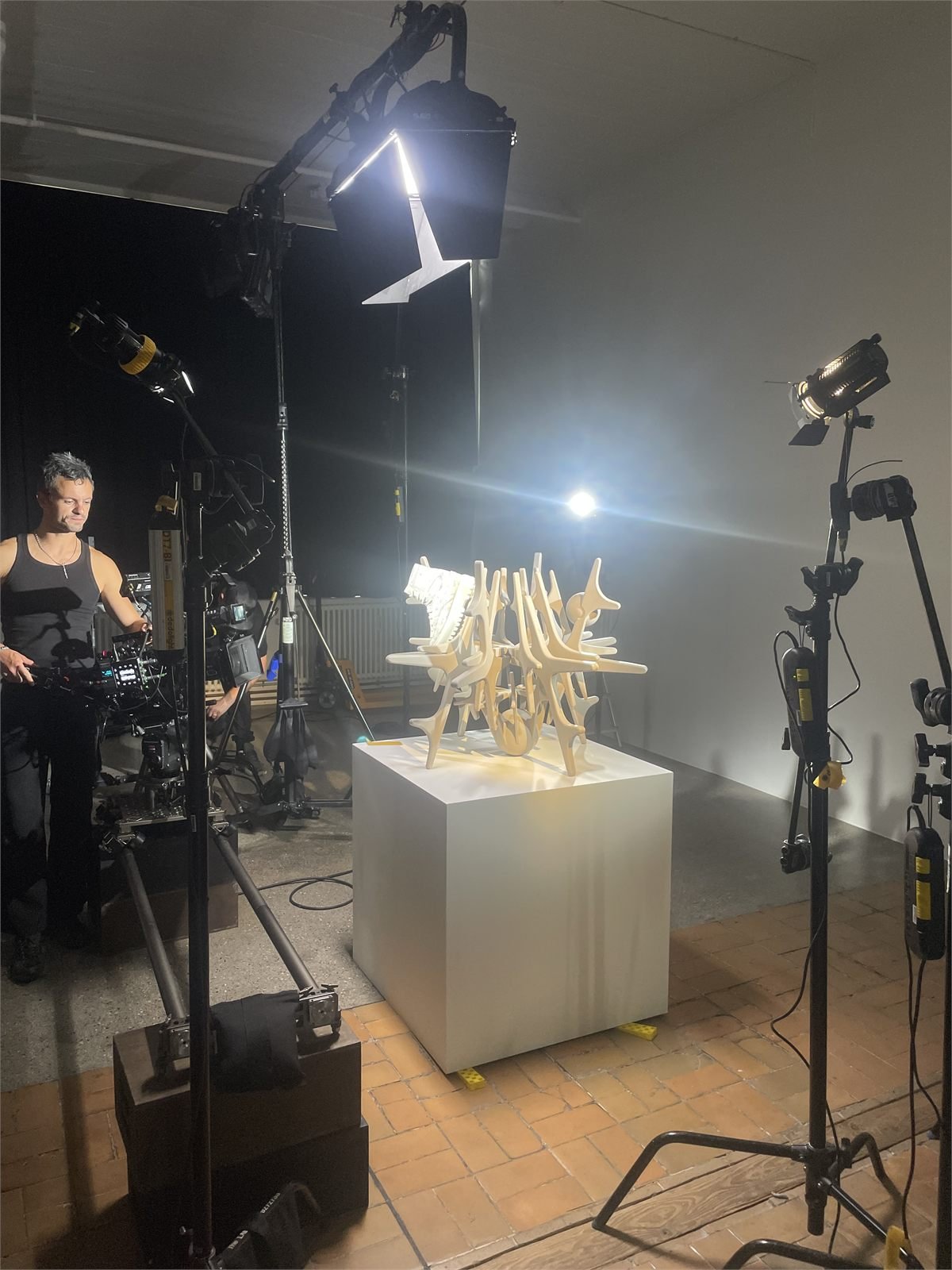 ECCO Photoshoot Sculptures, photo 3 of 6