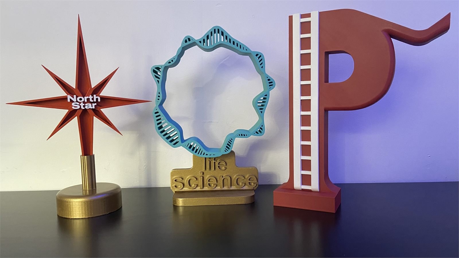 An annual award series for TechBBQ, produced across pitch competition categories